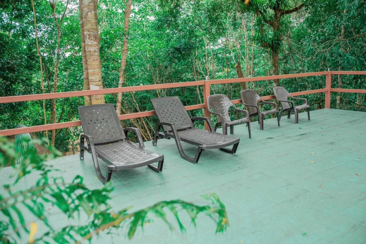Caiman Eco Lodge Aguarico Exterior photo